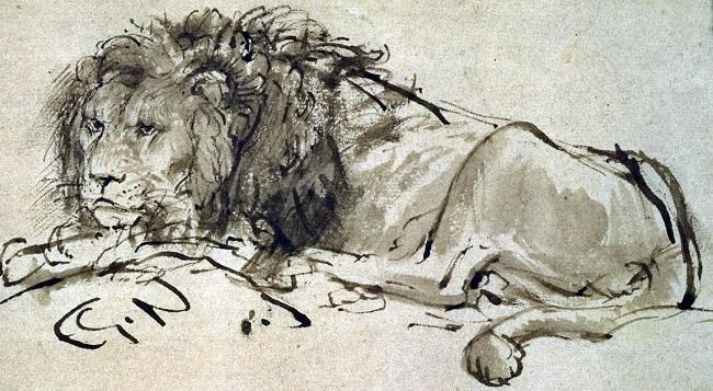 "Leão deitado", desenho de Rembrandt